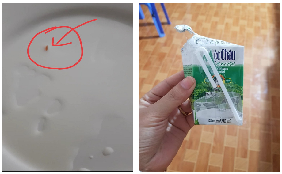 Có sinh vật lạ trong sữa, công ty khẳng định nguyên nhân không phải do quá trình sản xuất chỉ là trường hợp 